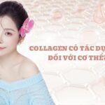 collagen co tac dung gi