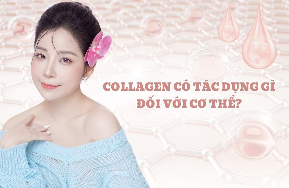 collagen co tac dung gi