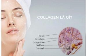 Chống Lão Hóa Nhờ Việc Uống Collagen Từ Sớm? Sự Thật Về Collagen 2 Chống Lão Hóa Nhờ Việc Uống Collagen Từ Sớm? Sự Thật Về Collagen