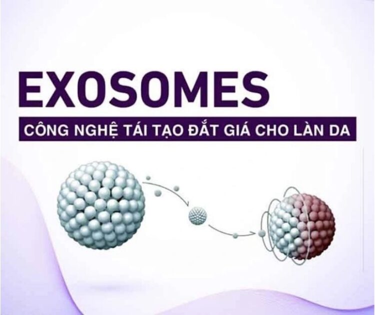 Exosome Là Gì? Tại Sao Exosome Là Chìa Khóa Vàng Trong Tái Tạo Da?