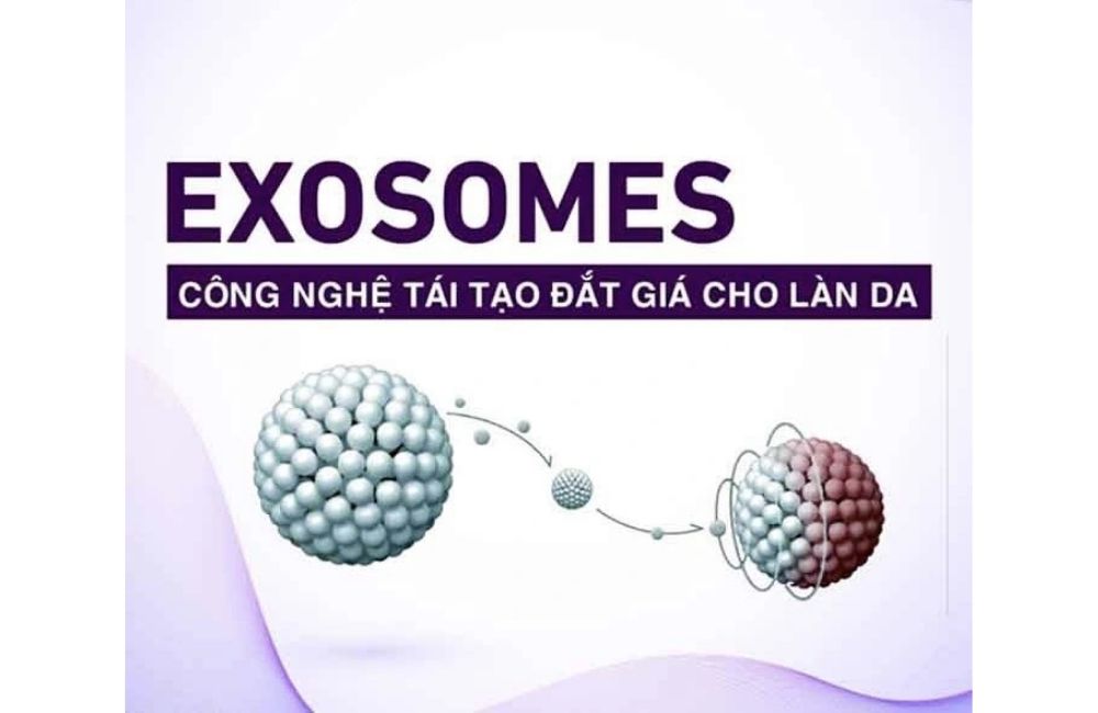 Exosome Là Gì? Tại Sao Exosome Là Chìa Khóa Vàng Trong Tái Tạo Da?