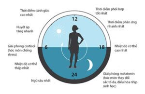 Bạn Đã Biết Chăm Sóc Da Theo Nhịp Sinh Học?
