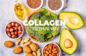 Collagen Thực Vật - Xu Hướng Làm Đẹp Bền Vững 2025 2 Collagen Thực Vật - Xu Hướng Làm Đẹp Bền Vững 2025