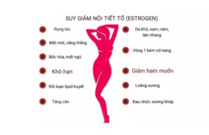 Các Vấn Đề Rối Loạn Tiết Tố Ảnh Hưởng Thế Nào Tới Làn Da Và Cơ Thể