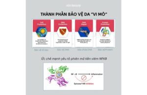 Synovea HR Có Thực Sự Trị Nám Thành Công Như Lời Đồn? 3 Synovea HR Có Thực Sự Trị Nám Thành Công Như Lời Đồn?