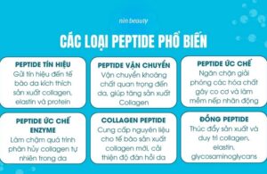 Hợp Chất Peptide Bôi Thoa Ngăn Ngừa Lão Hóa Đỉnh Cao 3 Hợp Chất Peptide Bôi Thoa Ngăn Ngừa Lão Hóa Đỉnh Cao