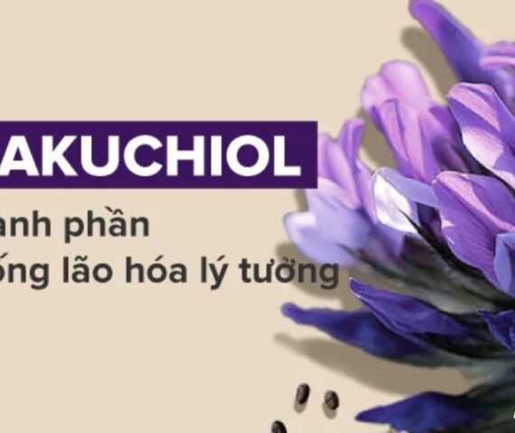 Sức Mạnh Trẻ Hóa Làn Da Từ Retinol Thiên Nhiên Bakuchiol