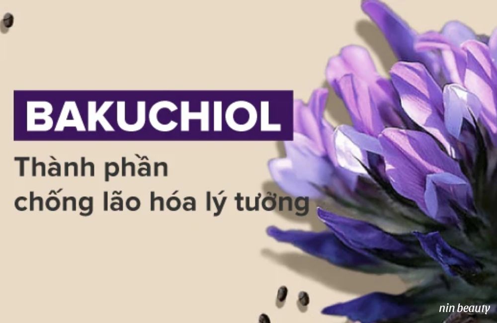 Sức Mạnh Trẻ Hóa Làn Da Từ Retinol Thiên Nhiên Bakuchiol 1 Sức Mạnh Trẻ Hóa Làn Da Từ Retinol Thiên Nhiên Bakuchiol